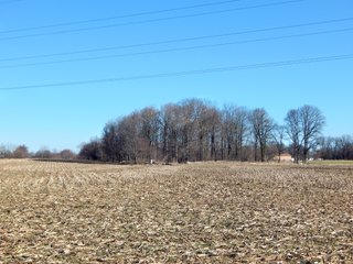Property photo 12 - REAL ESTATE AUCTION - 100+/- ACRES IN 5 TRACTS IN NOBLE COUNTY, INDIANA